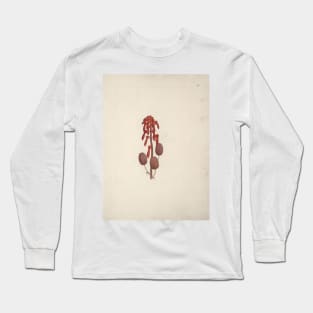 Aloe macrocarpa Todaro (Aloe) by Luigi Balugani Long Sleeve T-Shirt